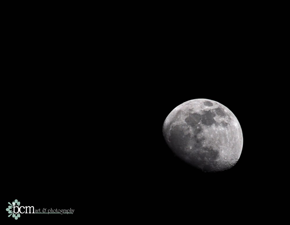 Day 33 020312 Moon Dance