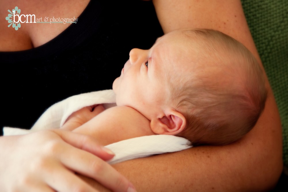 Newborn Portraits