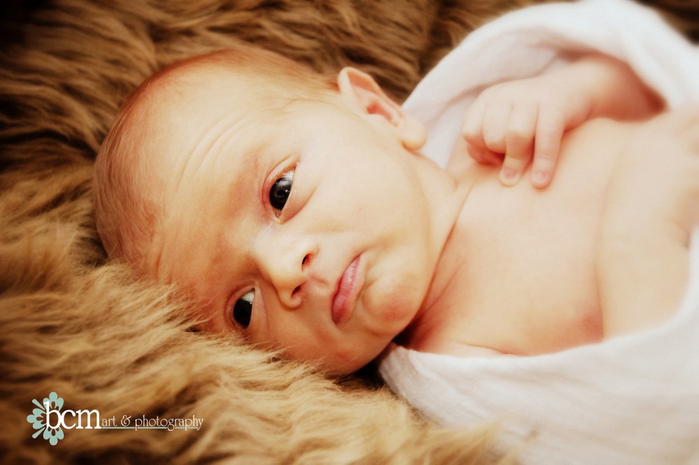Newborn Portraits