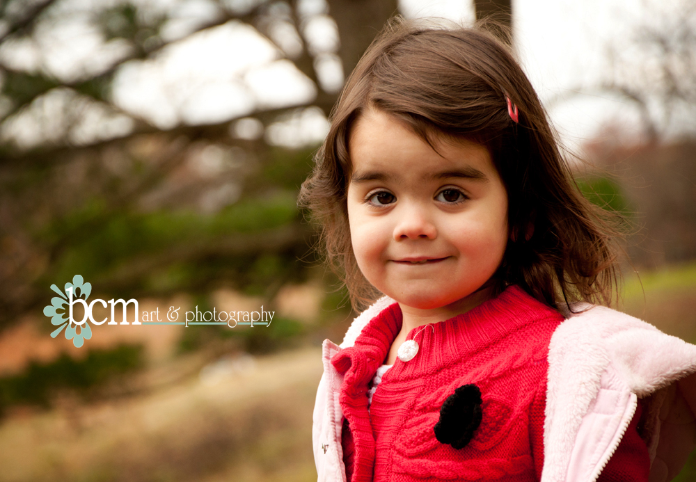 Family Portraits ~ www.bcmnotes.com