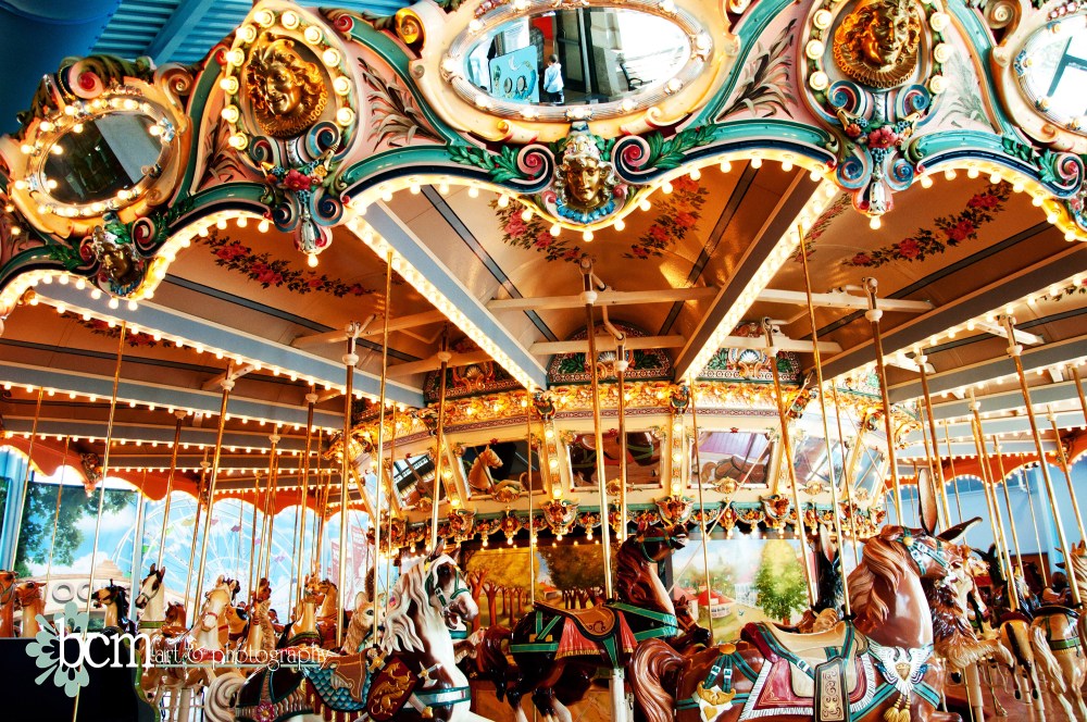 2012 Year in Pictures - bcm art & photography