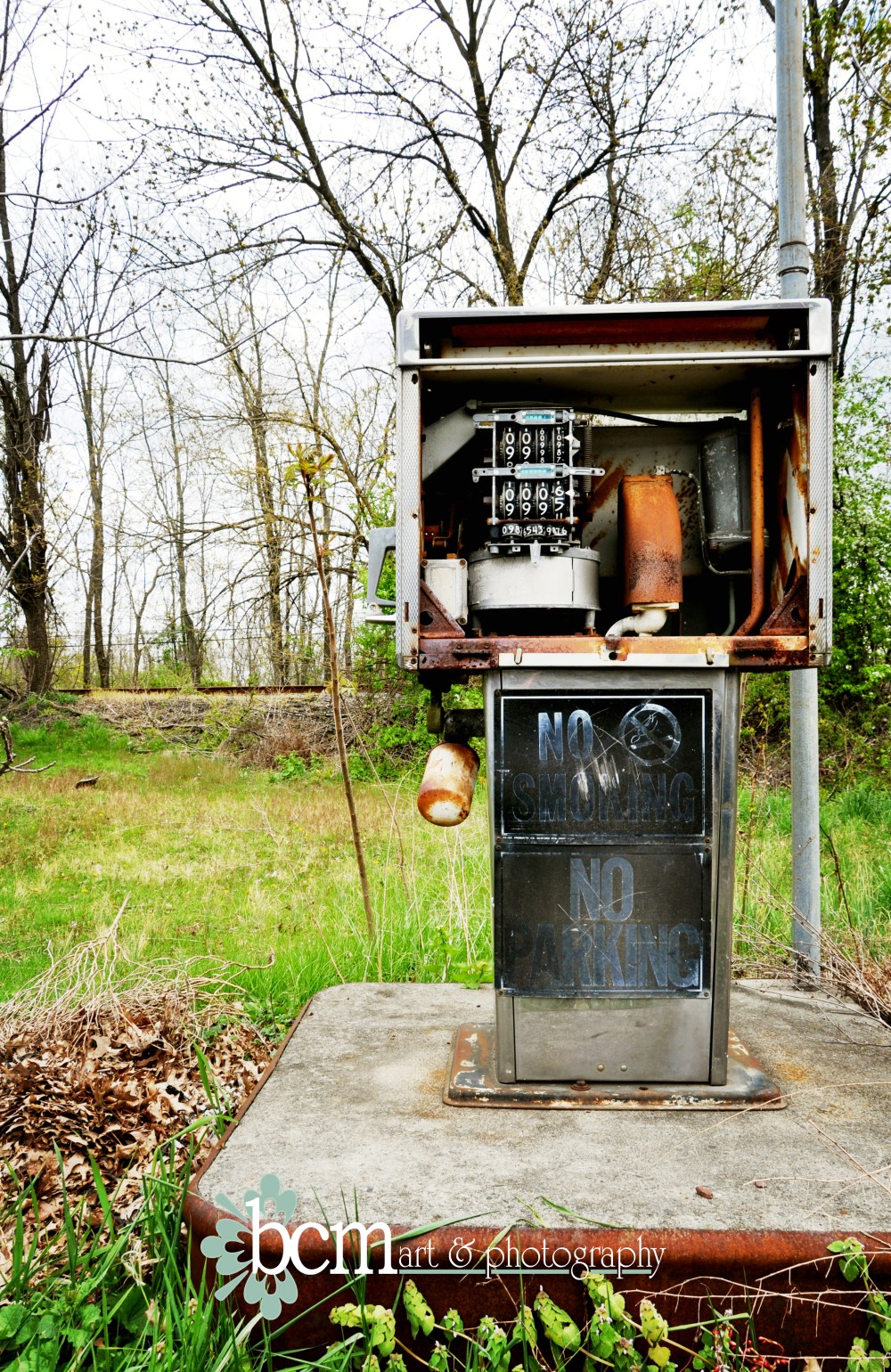 2012 Year in Pictures - bcm art & photography