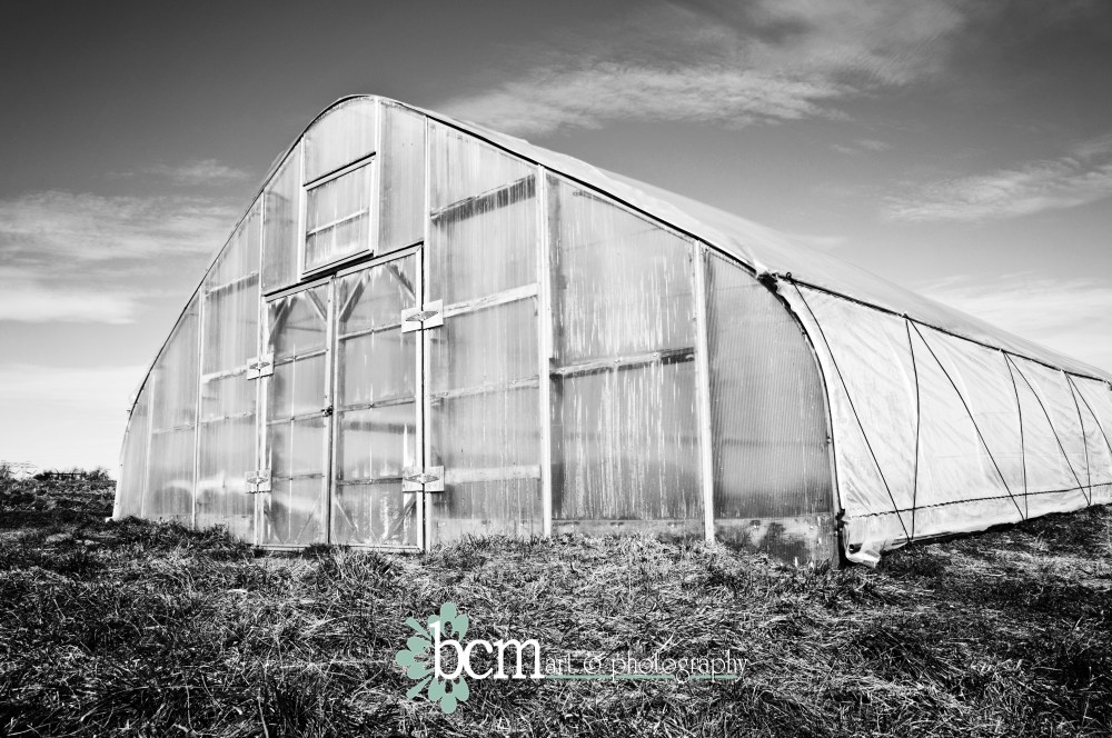 bcm art & photography 2013