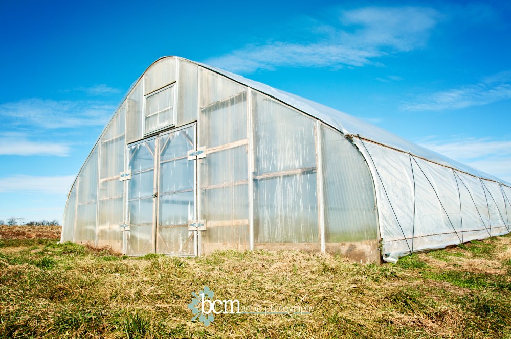 bcm art & photography 2013