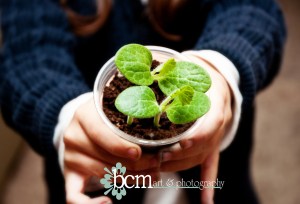 Grow Things ~ bcm art & photography 2013