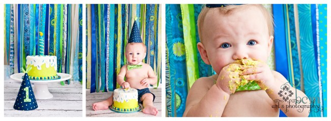 1st Birthday Portraits ~ bcm art & phtography