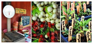 Locavore Challenge ~ bcm art & photography 2013