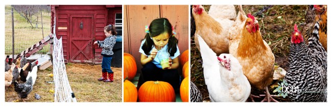 Locavore Challenge ~ bcm art & photography 2013