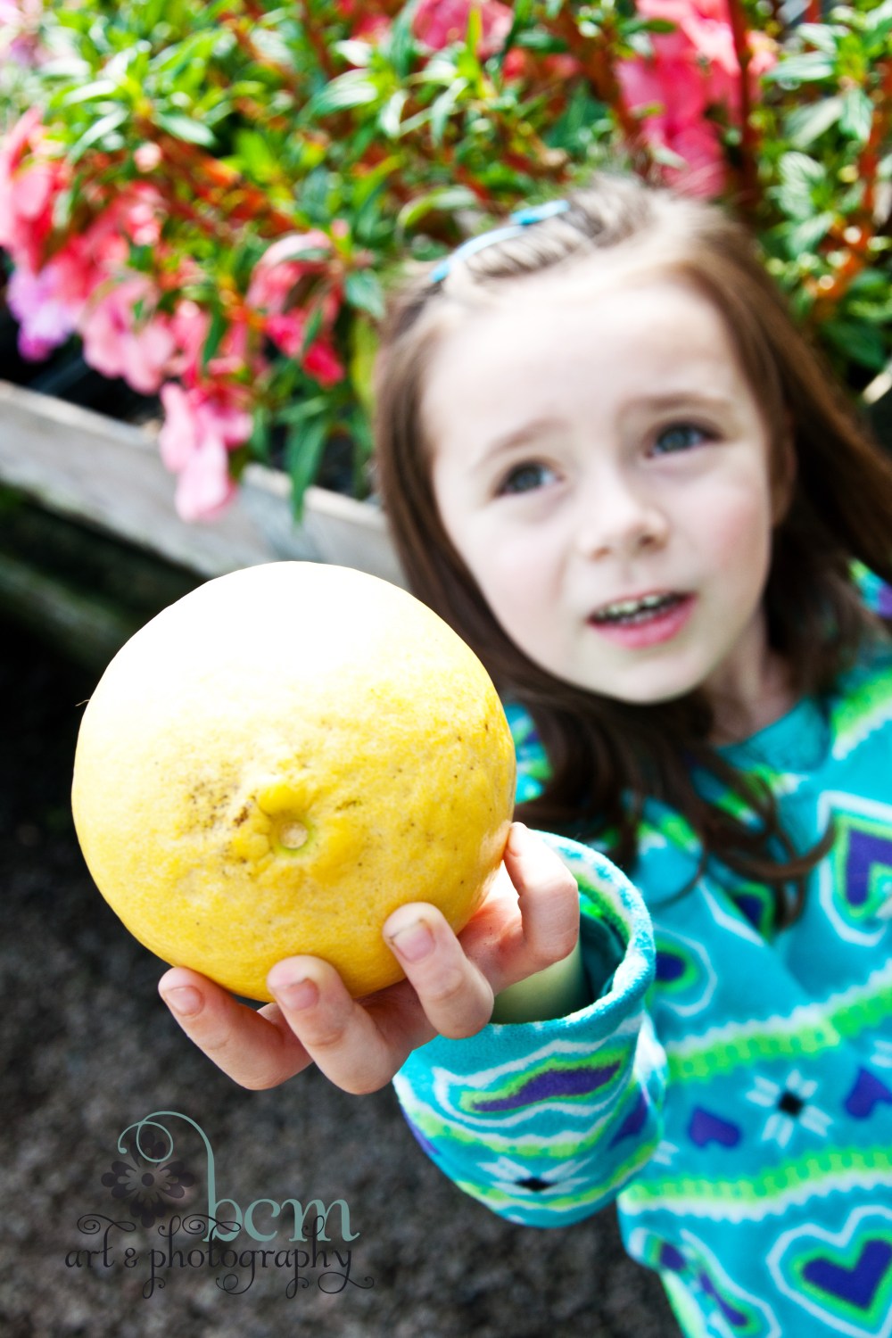 Ott's, Pushing Spring ~ bcm art & photography 2013