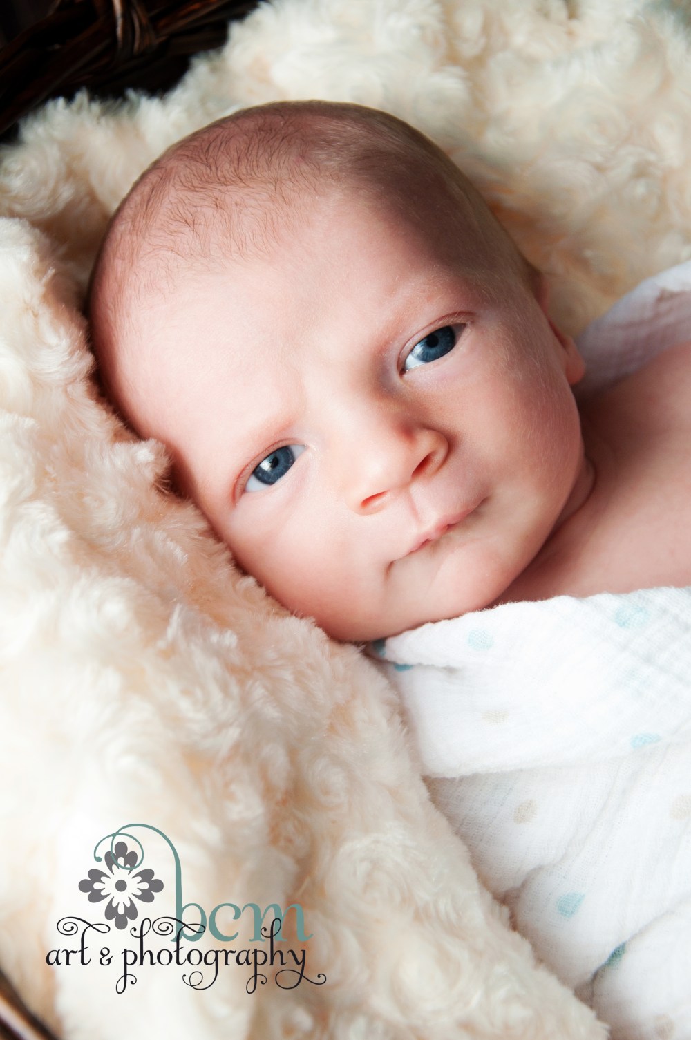 Newborn Portraits ~ bcm art & photography 2013