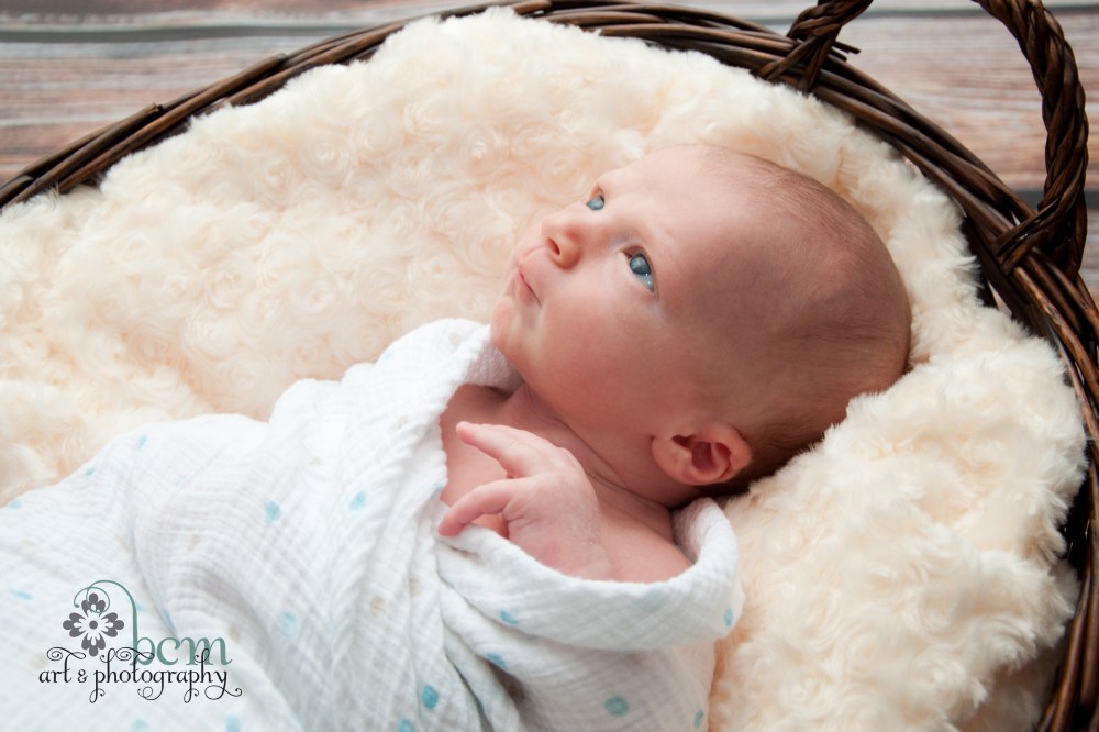 Newborn Portraits ~ bcm art & photography 2013