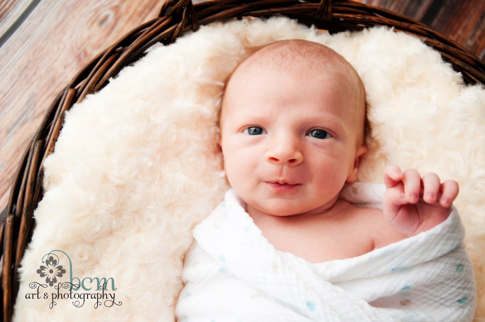 Newborn Portraits ~ bcm art & photography 2013