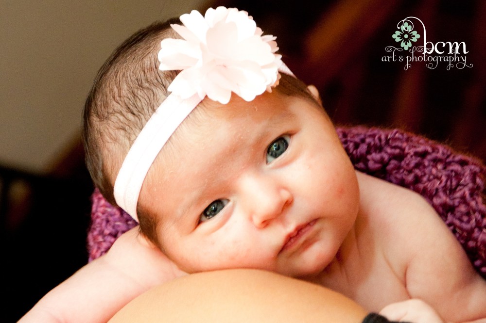 bcm art & photography 2013 - Newborn Portraits