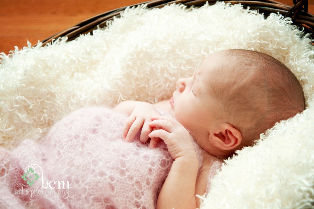 Newborn & Family Portraits ~ bcm art & Photography 2013