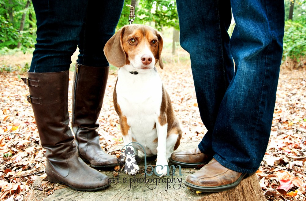 Engagement Portraits ~ bcm art & photography 2013