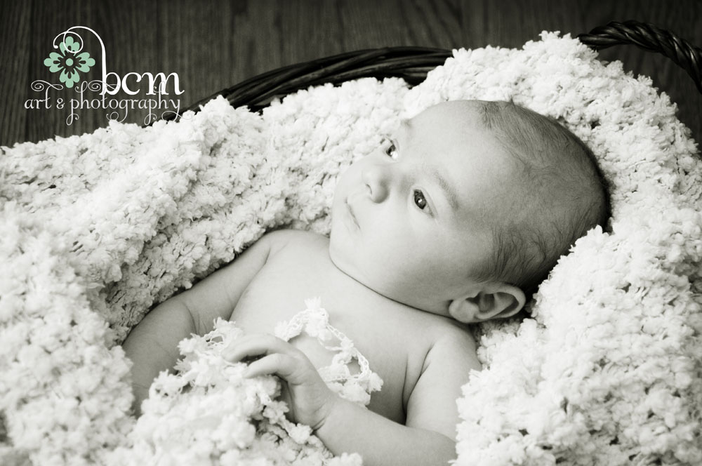 Newborn & Family Portraits ~ bcm art & photography 2014