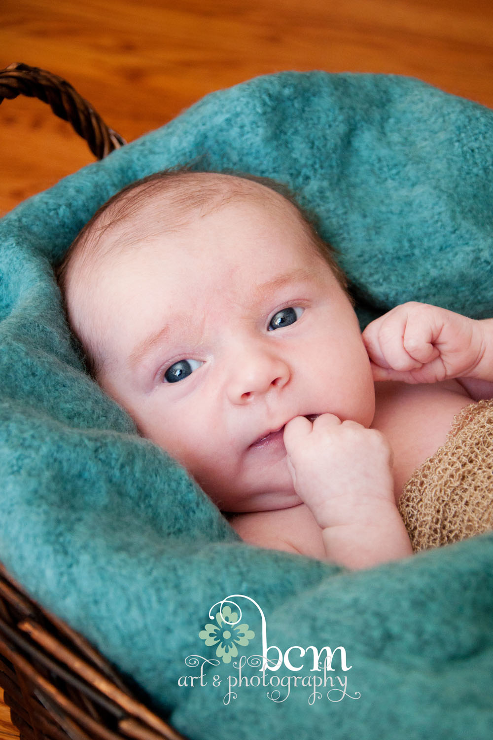 Newborn & Family Portraits ~ bcm art & photography 2014