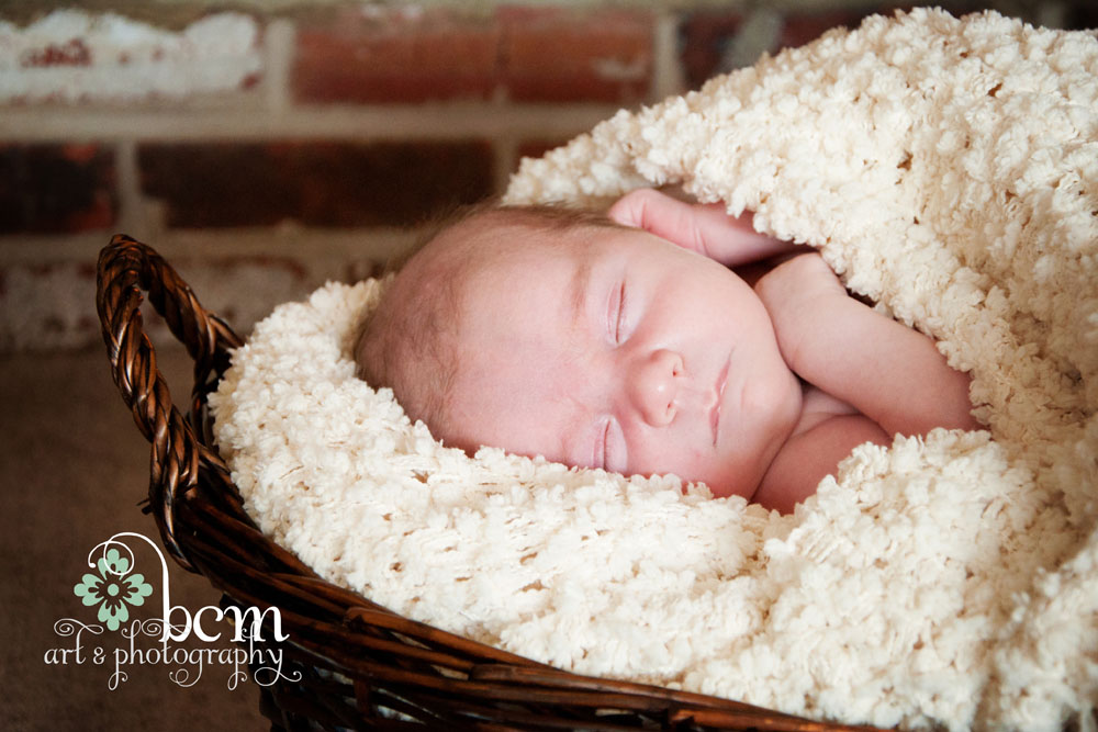 Newborn & Family Portraits ~ bcm art & photography 2014