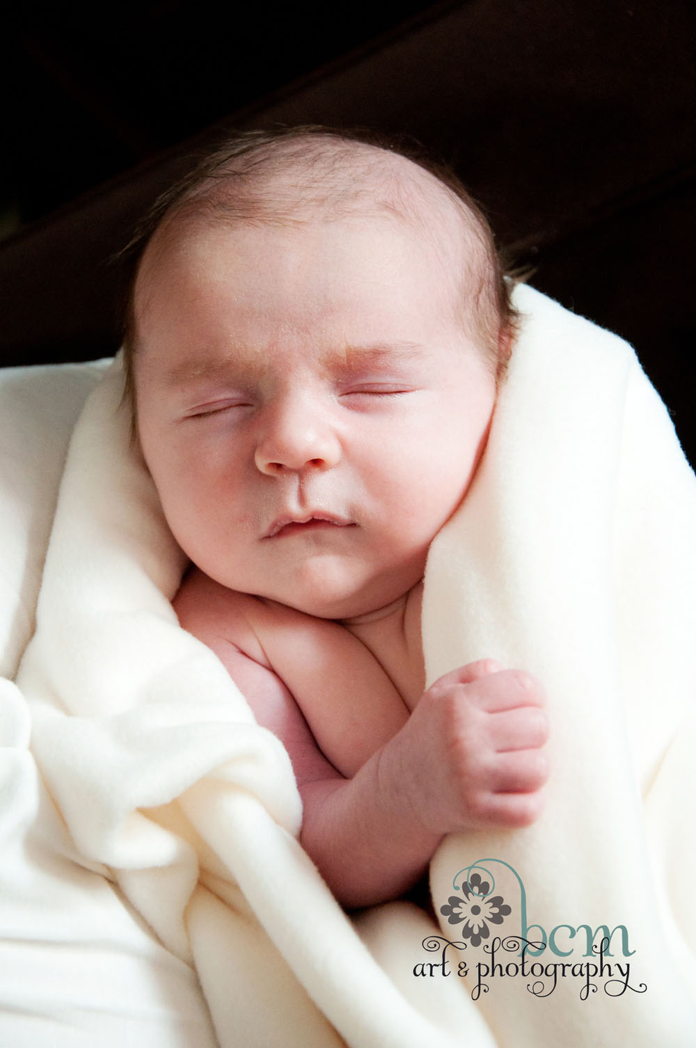 Newborn & Family Portraits ~ bcm art & photography 2014