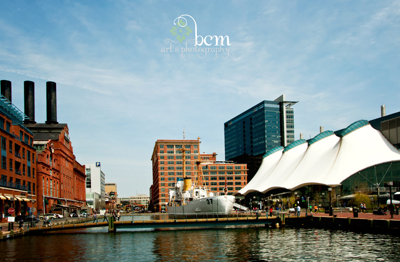 bcm art & photography, April 2014