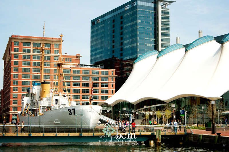 bcm art & photography, April 2014