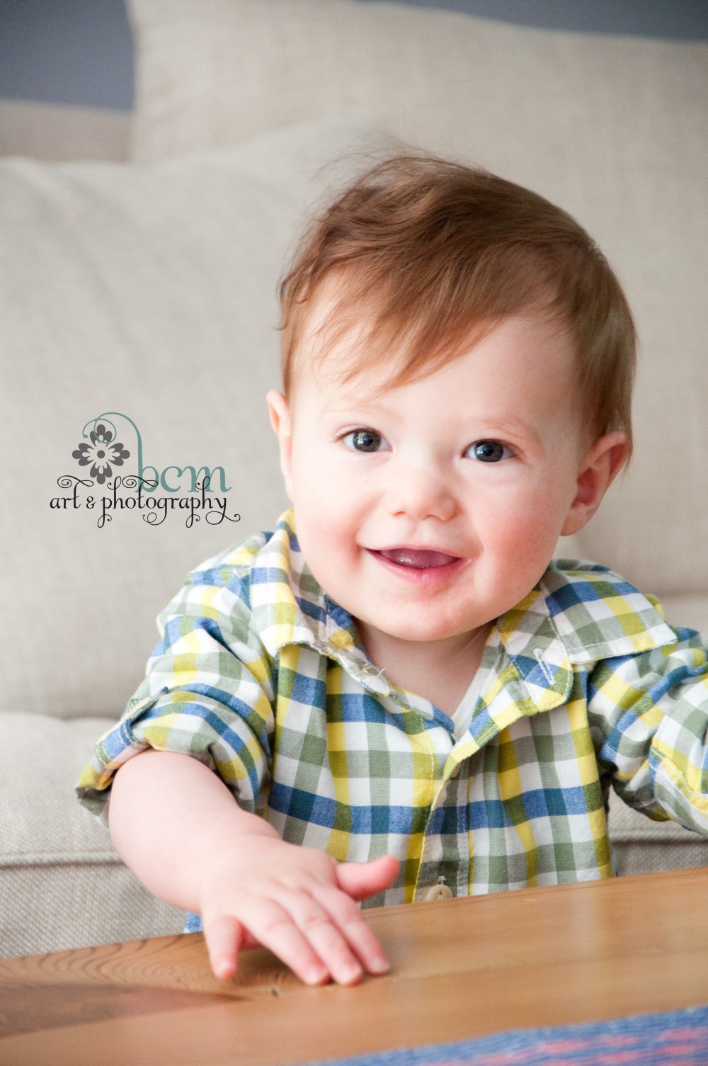 Family Portraits ~ bcm art & photography 2014