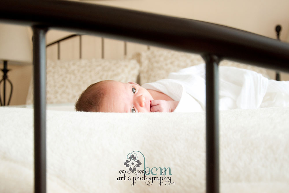 Newborn Portraits ~ bcm art & photography 2014