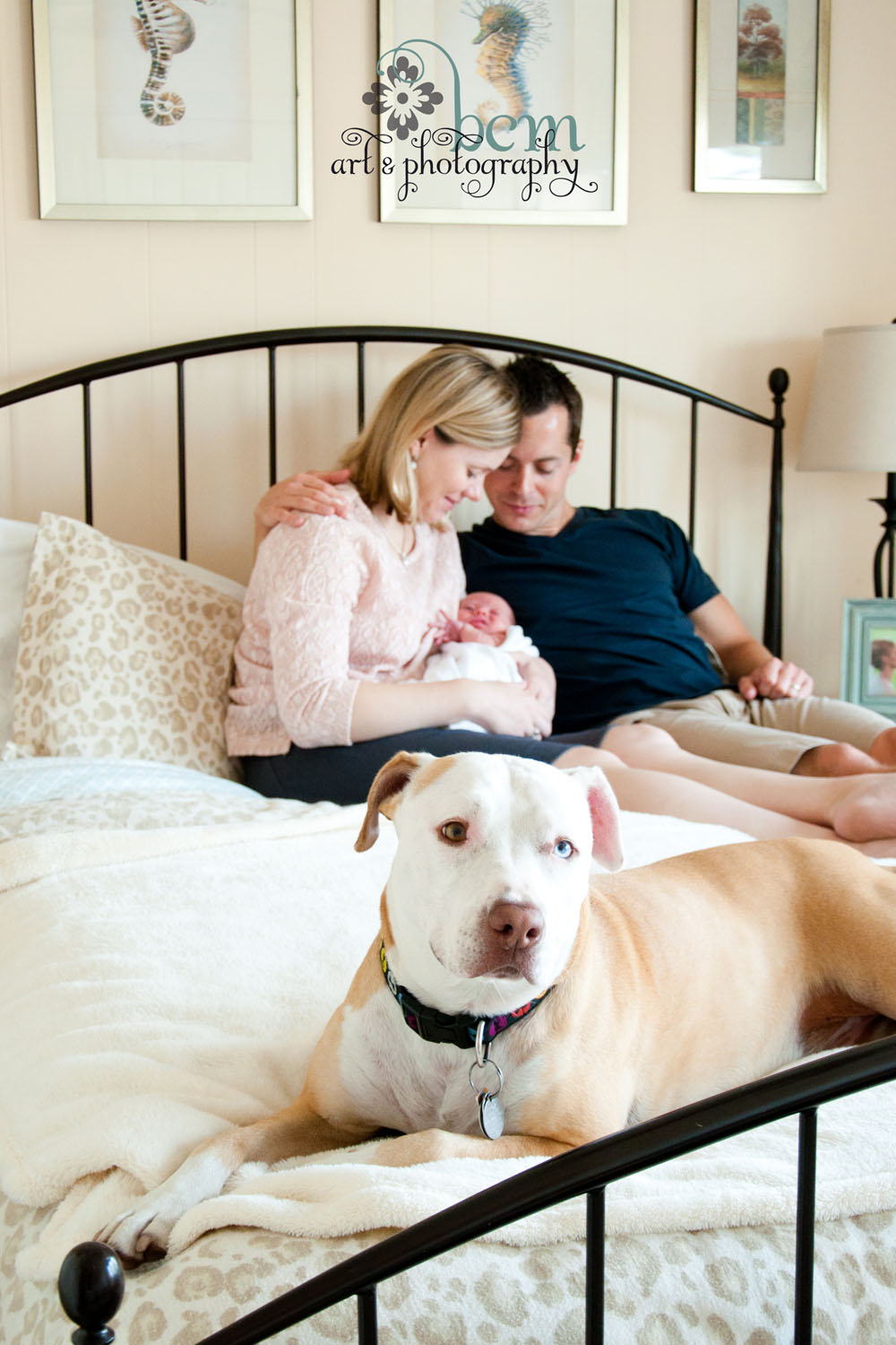 Newborn Portraits ~ bcm art & photography 2014