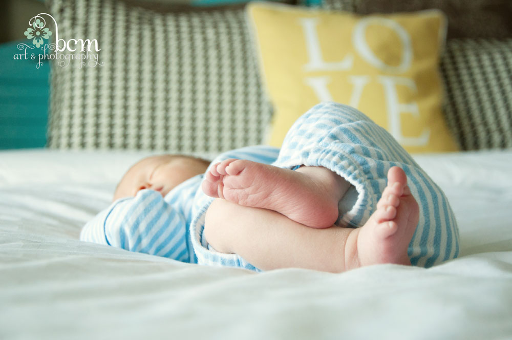 Newborn Portraits, bcm art & photography 2014