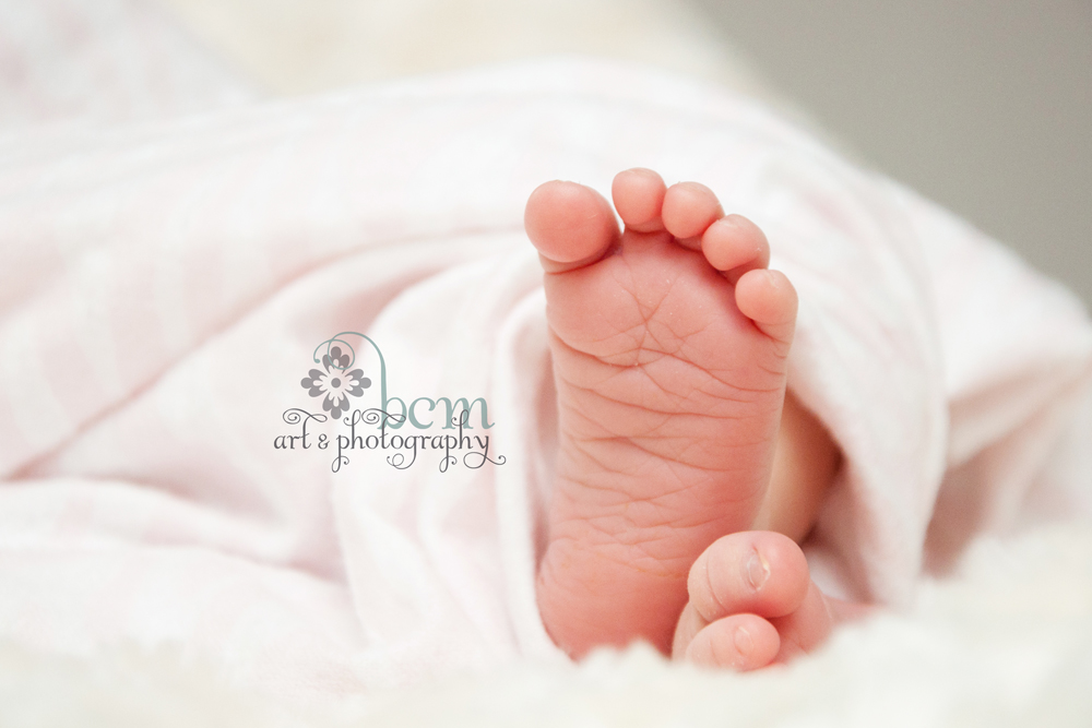 Newborn Portraits ~ bcm art & photography 2014