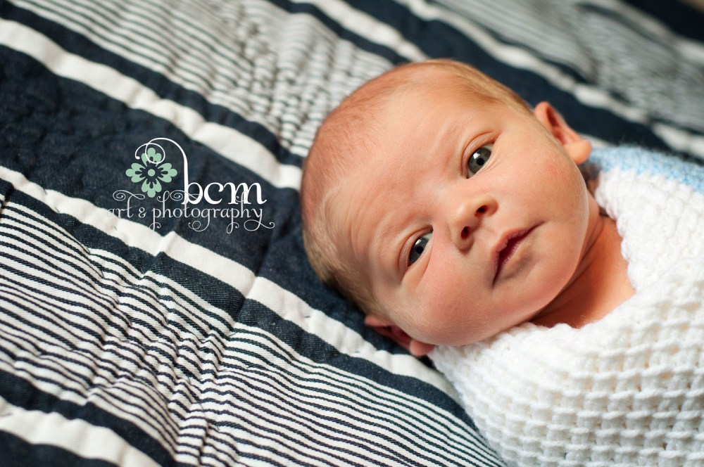Newborn Portraits ~ bcm art & photography 2015