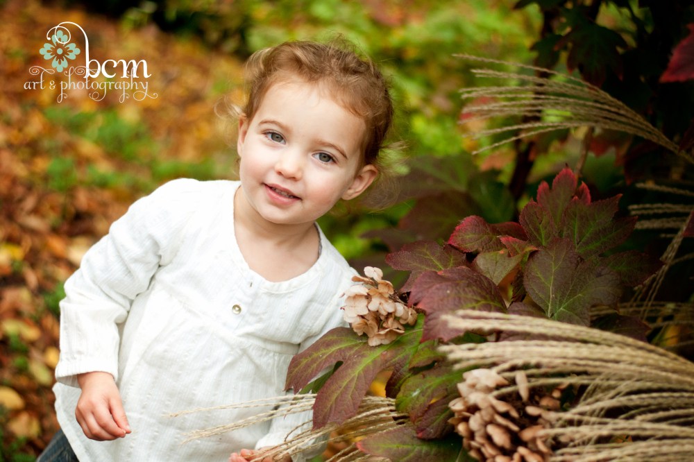 Family Portraits ~ Fall 2015, bcm art & photography